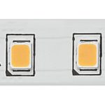 (24V, 4.6W/m,8mm) LED dây HAFELE 3042 Loox5 IP20
