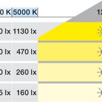 (12V, 4.8W/m,8mm) LED dây HAFELE 2065 Loox5 IP20