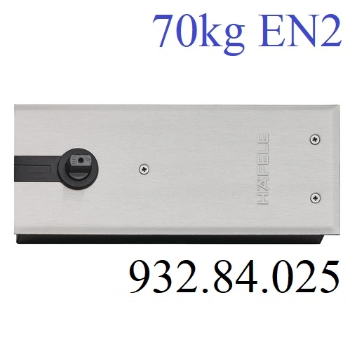 (70kg, EN2, HO) Bản lề sàn HAFELE 932.84.025 DCL41 (Lắp âm)