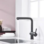 Vòi bếp HAFELE rút 577.55.390 (màu đen)
